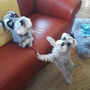 Meet your Posher, Elisa